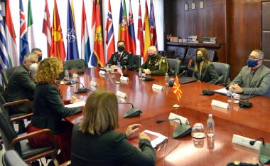 Ministria e Mbrojtjes së Maqedonisë angazhon ekspert amerikan për siguri kibernetike