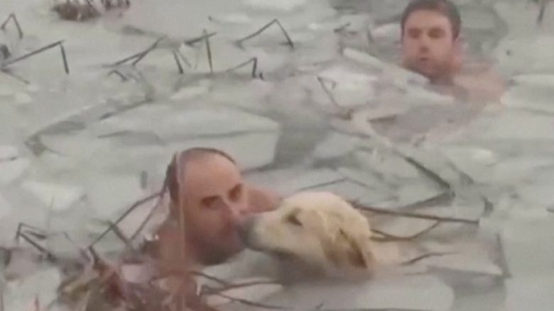 Dy policë spanjollë shpëtojnë qenin që ngeci në ujërat e ftohta të liqenit