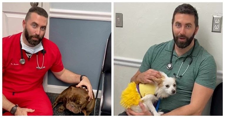 This veterinarian is followed by millions of people, has a rare