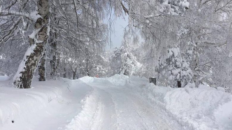 Një 27 vjeçar sirian është gjetur i vdekur në malin e Moravës në Korçë