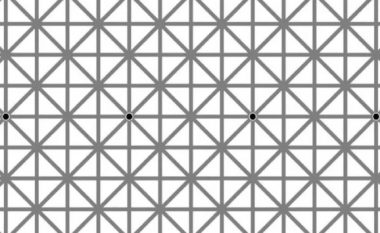 Nuk ka asnjë shans për t’i parë të gjitha 12 pikat e zeza menjëherë: Iluzioni optik që ka hamendësuar shumë njerëz!