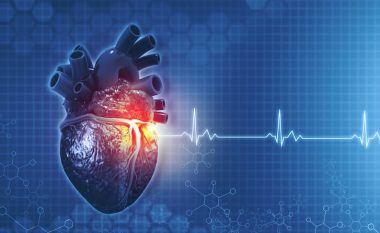 Rrahjet e zemrës: Cilat vlera janë normale dhe kur duhet të shqetësoheni?