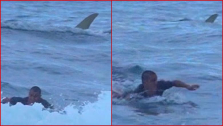 Momenti i frikshëm kur sërfisti në Puerto Riko sheh një peshkaqen menjëherë pas tij dhe tenton që të kthehet në plazh