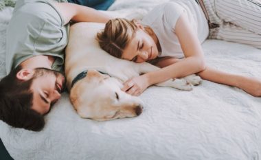 A po fle qeni në shtratin tuaj? A është kjo pozitive apo negative për pronarët dhe kafshët shtëpiake?