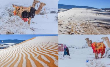 Reshje bore në Sahara, “batanija e akullt” mbulon dunat – temperaturat bien nga 58 gradë në minus dy