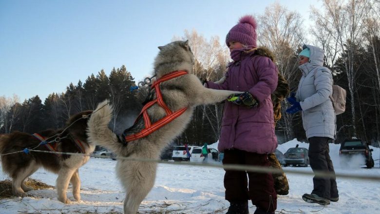 Rusja 10-vjeçe i mbijetoi stuhisë duke përqafuar qentë – natën e kaloi duke u ngrohur me trupin e tyre