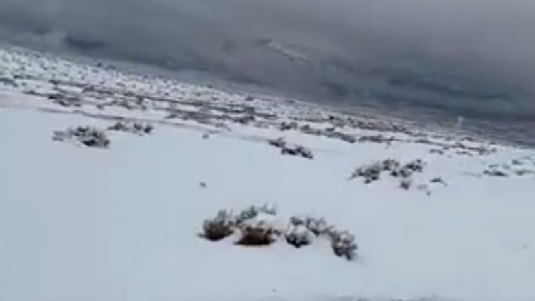 Zbardhet Arabia Saudite, banorët shijojnë borën në ditën e parë të Vitit të Ri – madje edhe shkretëtira është mbuluar