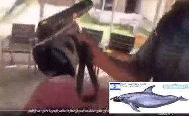 Hamasi pretendon se ka zënë “delfinin spiun” të Izraelit, që ishte pajisur me armë për të vrarë luftëtarët në Rripin e Gazës