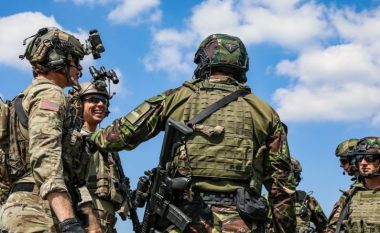 Ibishi: Forcat speciale amerikane në Shqipëri, mbështetje edhe për Kosovën