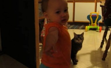 Fëmija flet çdo ditë me macen – videoja bëhet virale duke u shikuar mbi 10 milionë herë