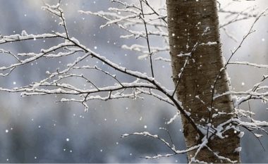 Nesër në Kosovë, ftohtë dhe mjegull në mëngjes