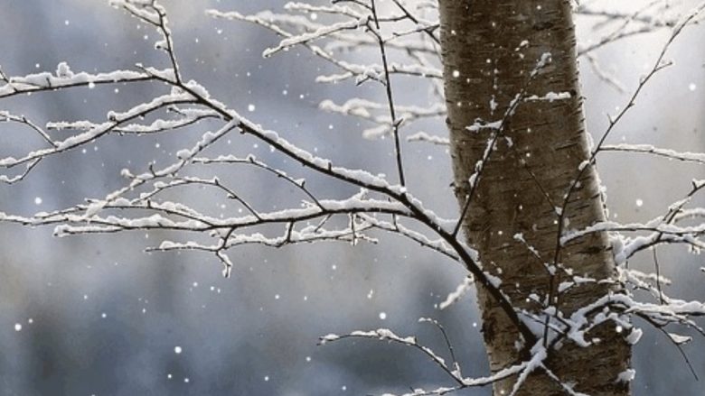 Nesër në Kosovë, ftohtë dhe mjegull në mëngjes