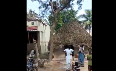 Nuk donte të vaksinohej – burri në Indi u largua me vrap dhe u ngjit në majë të pemës