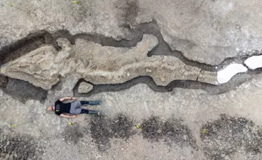 Fosili i madh i ‘dragoit të detit’ nga 180 milionë vjet më parë u zbulua në Angli
