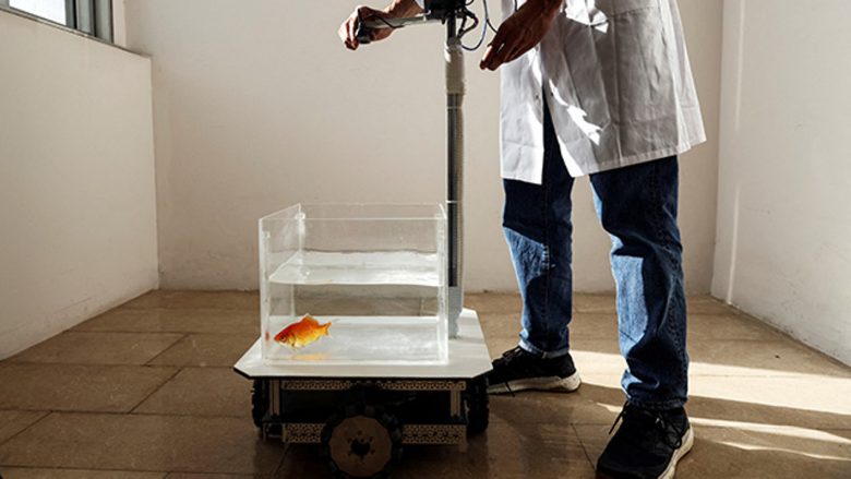 Shkencëtarët ndërtuan një makinë që mund ta ‘ngasin’ peshqit