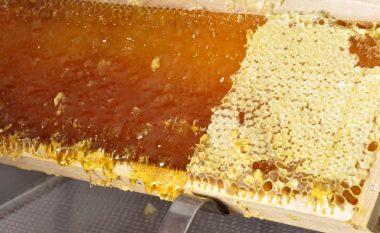 A mund të prishet mjalti - qe si ta ruani siç duhet