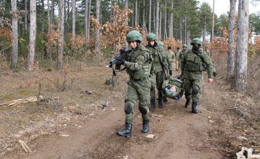 Reagimi në fushëbetejë, ushtarët e FSK-së trajnohen nga instruktorët amerikanë