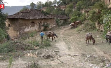 Televizioni gjerman dokumentar për gjallesat e egra në Shqipëri: Thesare natyrore të pazbuluara