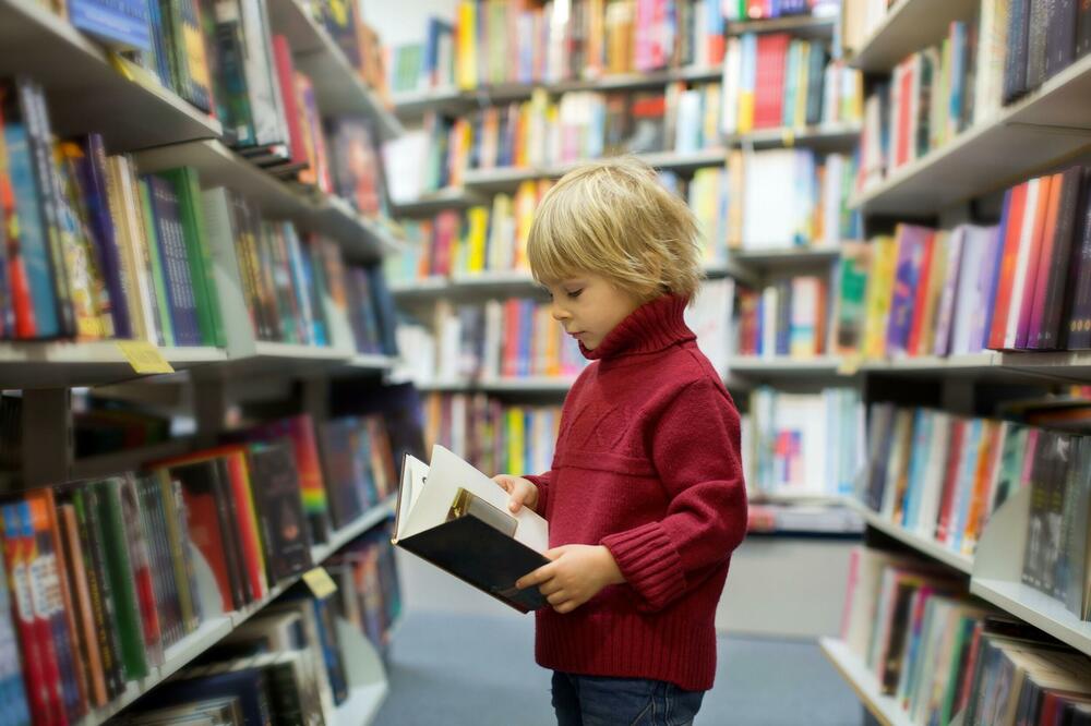 Biblioteka e Idahos me listë të gjatë të personave që presin për të lexuar librin e 8-vjeçarit, që e kishte fshehur në dollap