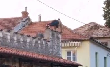 Ngjitet në kulmin e shtëpisë për të bërë ushtrime, burri nga Bosnja derisa bënte pompa mbi mur rrëzohet nga gjashtë metra lartësi