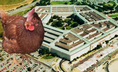 “Arrestohet” pula, tentoi të hynte në Pentagon