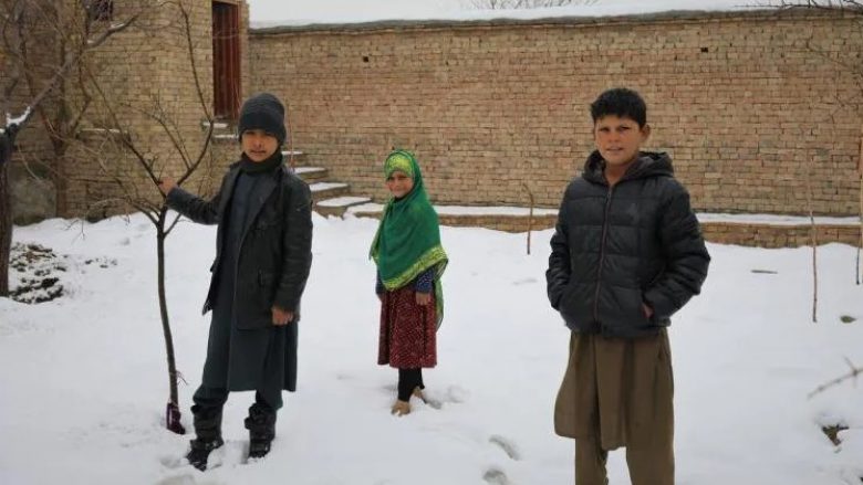 Pneumonia në rritje dhe uria po vrasin mijëra fëmijë në Afganistan