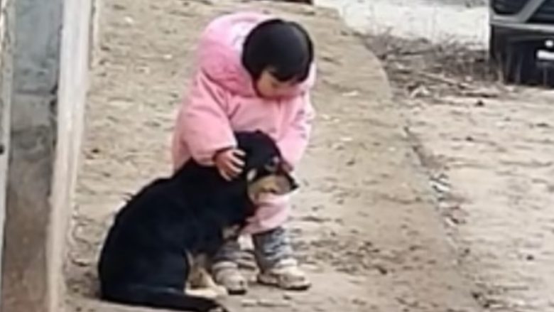 Vogëlushja mbulon veshët e qenit pas ndezjes së fishekzjarrëve në Kinë