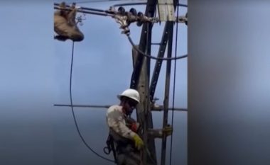 Momenti kur shpëtohet kafsha që ishte kacavjerrë në përçuesin elektrik
