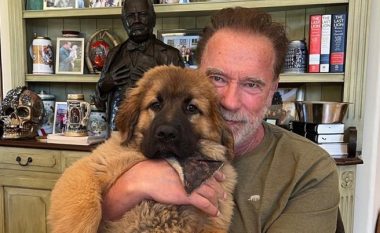 Schwarzenegger bëhet pronar i një kafshe të re – aktori e emëroi sipas ushqimit të tij të preferuar