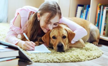 Studimet e fundit kanë treguar: Përkëdhelja e një qeni përmirëson aftësitë e të menduarit
