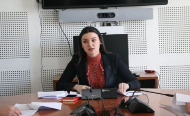 Konstituohet Grupi parlamentar i miqësisë Kosovë-Zvicër, Jeta Statovci drejtuese