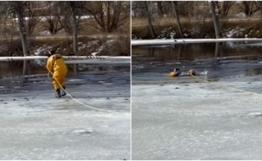 Shkoi pas patave, qeni përfundoi në ujërat e akullta të një pellgu në Kolorado – shpëtohet nga një zjarrfikës