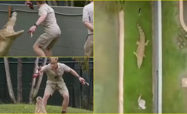 Djali i ‘gjuetarit të njohur’ tregon momentin kur u detyrua të ikte, kur një krokodil e sulmoi në një kopsht zoologjik të Australisë