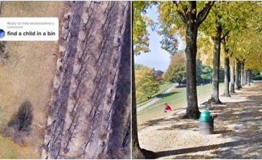 Përdoruesi i Google Maps mbeti i hutuar kur zbuloi një fëmijë ‘të ngecur në një kosh’ në një park të Zvicrës