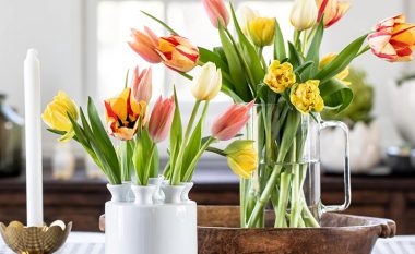 Si mund të qëndrojnë të freskët më gjatë tulipanët në një vazo?