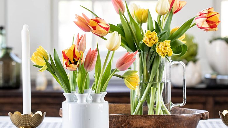 Si mund të qëndrojnë të freskët më gjatë tulipanët në një vazo?