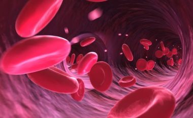 Sipas studimit, ka dy proteina gjaku që mund të mbajnë çelësin për një jetë të gjatë dhe të shëndetshme