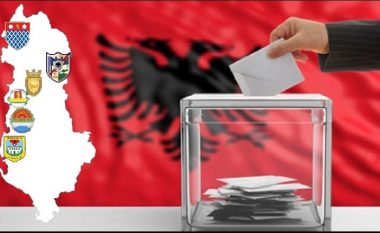 Zgjedhjet vendore në Shqipëri, Meta: Monitorimi i shërben vlerësimit për rregullsinë e tyre