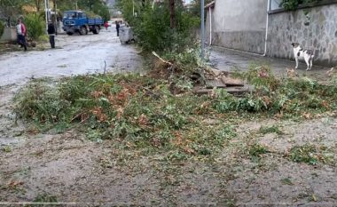 Tre persona të lënduar nga moti i ligë në Shqipëri
