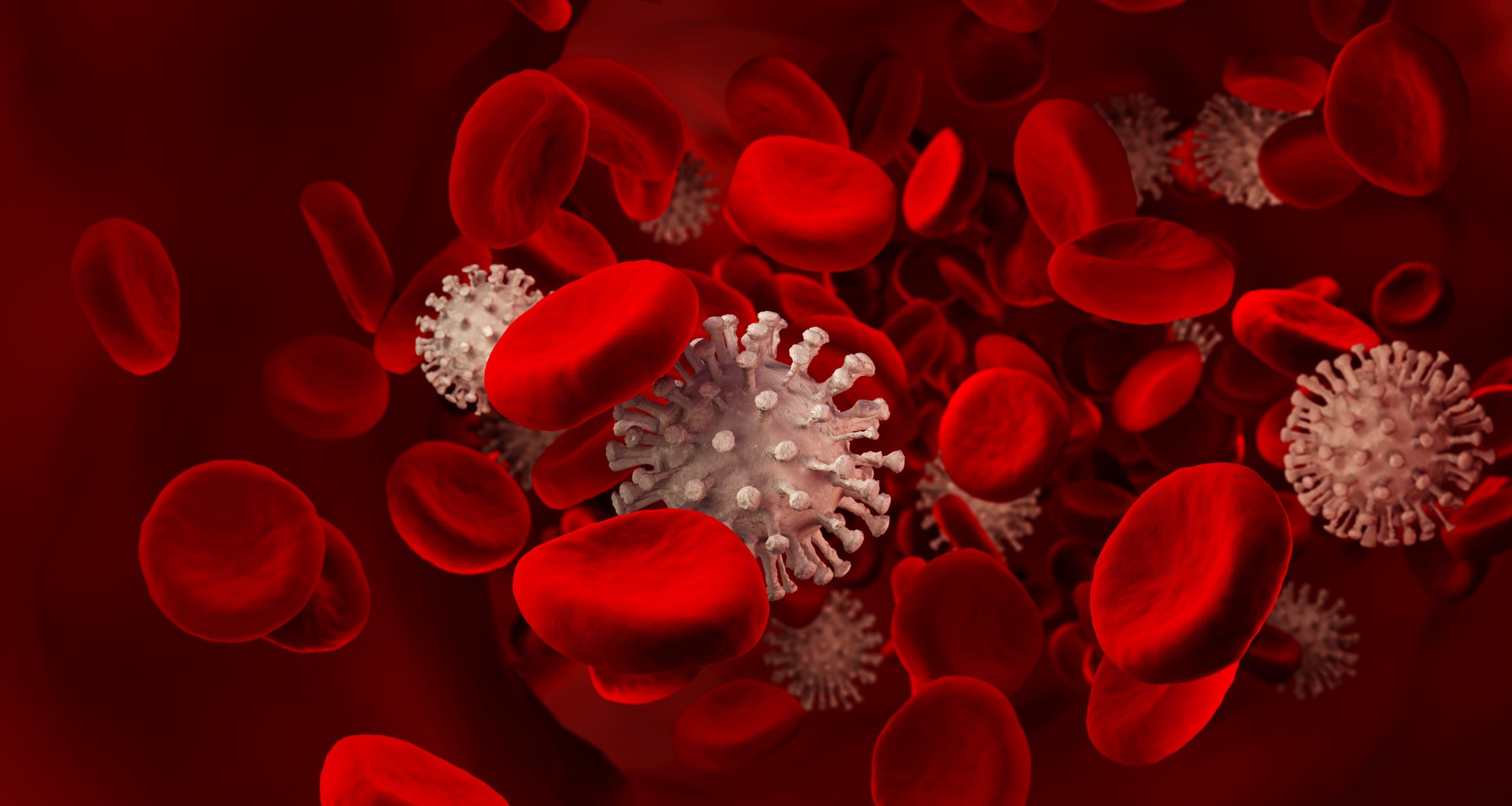 Eritrocitet e dëmtuara nga COVID-19 i rëndë mund të dëmtojnë enët e gjakut