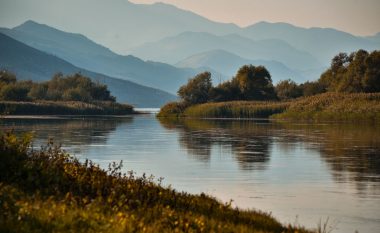 Delta e Bunës në Shkodër, perla e fshehur e Adriatikut që pret vizitorë