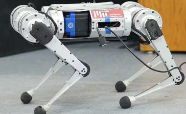 Ky është roboti që lëviz me shpejtësi të lartë në terrene me akull dhe guralecë