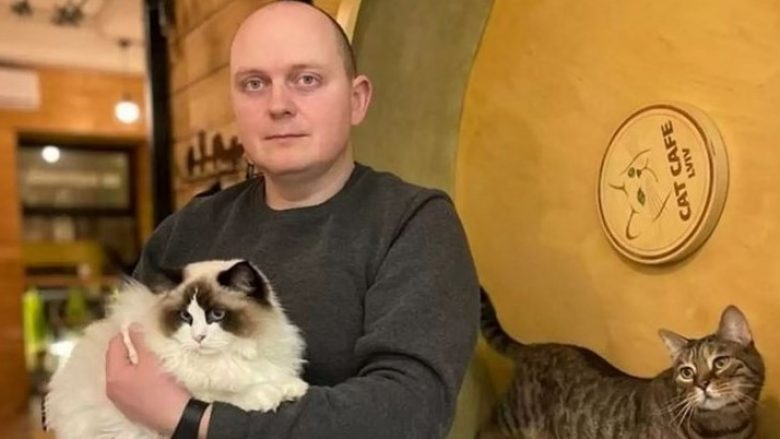 Kafeja e maceve në Lviv u hap pavarësisht luftës: Macet janë si familje