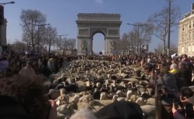 Më shumë se 2000 dele kaluan nëpër qendër të Parisit