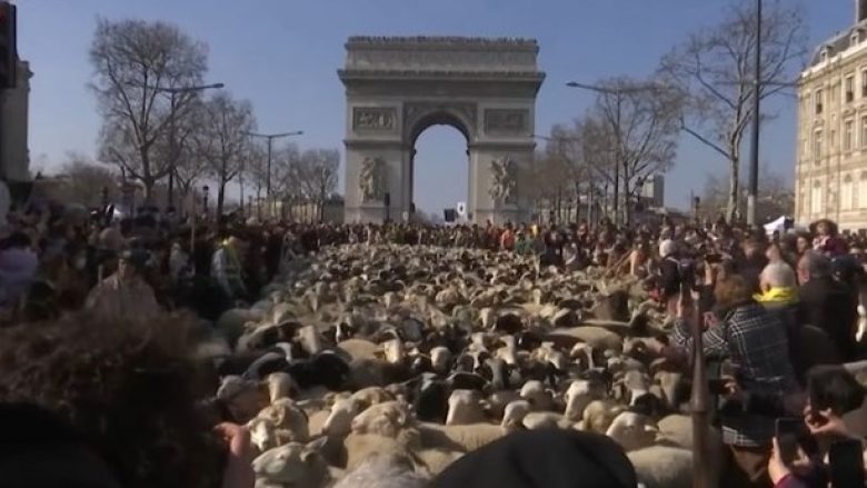 Më shumë se 2000 dele kaluan nëpër qendër të Parisit