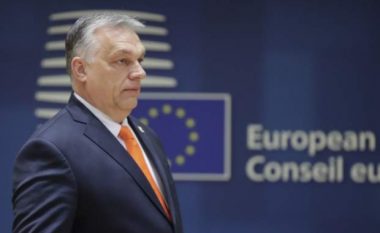 Kryeministri i Hungarisë refuzon apelin e Zelenskit për t’i dhënë armë Ukrainës dhe për t’i vënë sanksione Rusisë