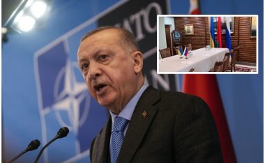 Ukraina dhe Rusia negociojnë gjashtë pika të paqes – Erdogan thotë se ka dakordim për katër prej tyre