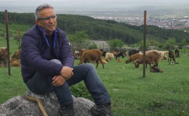 Nga kampion i bodibildingut në Kosovë e ish-Jugosllavi, Esat Kica sot është një fermer