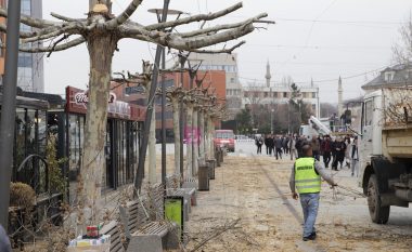 Krasitja e drunjve në kryeqytet: Qytetarët e vlerësojnë të mirë, por pak të vonuar