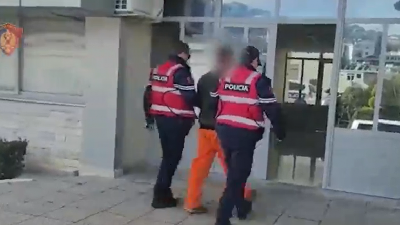 Ndihmonin emigrantë të paligjshëm kundrejt fitimit, arrestohen dy shtetas në Gjirokastër